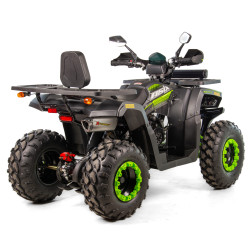 QUAD ASIX RANGER 250