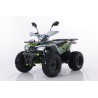QUAD ASIX HUNTER 125